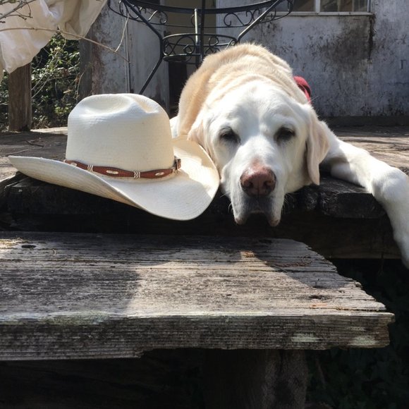 Meet the Posher - Picture 6 of 14